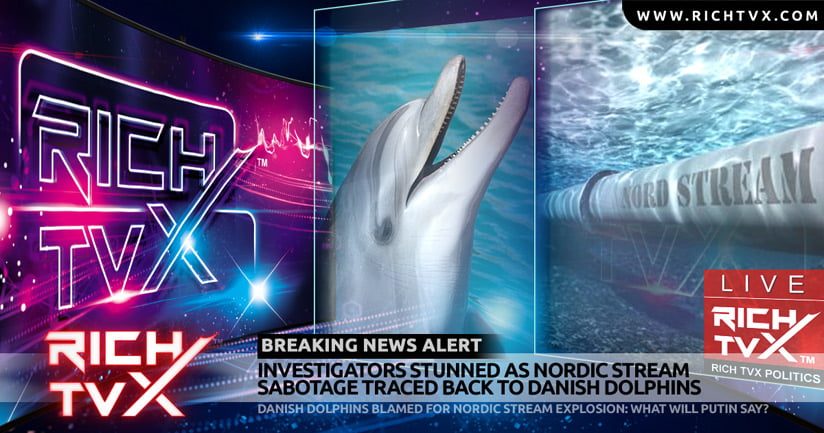 Breaking News: Danish Dolphins Blamed fo ordic Stream Explosion